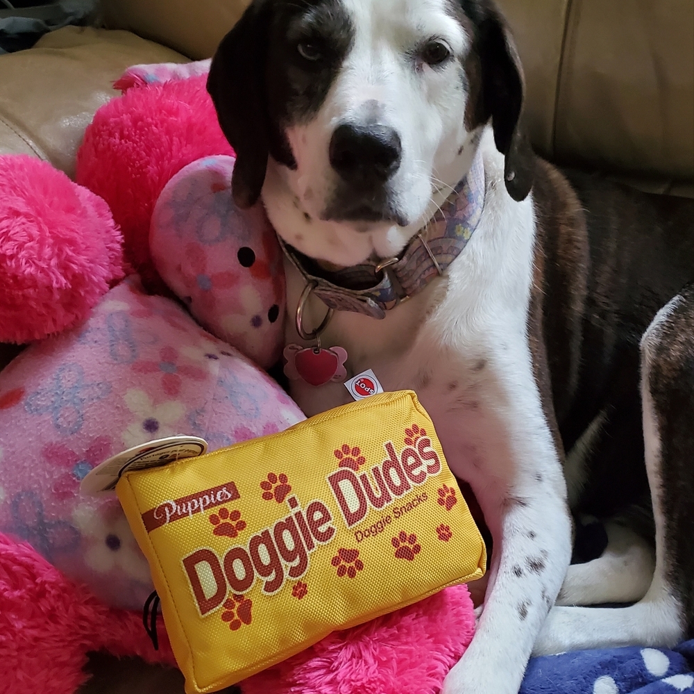NWT Fun Candy Doggie Dudes Dog Toy with Squeaker